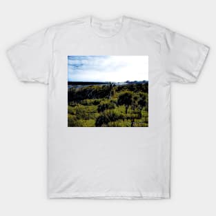 Paradise - Graphic 1 T-Shirt